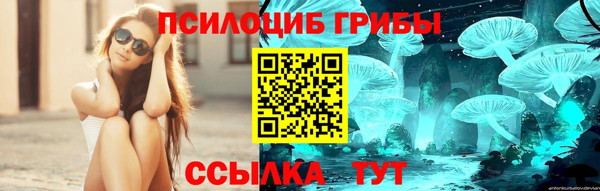 Псилоцибиновые грибы MAGIC MUSHROOMS Чапаевск
